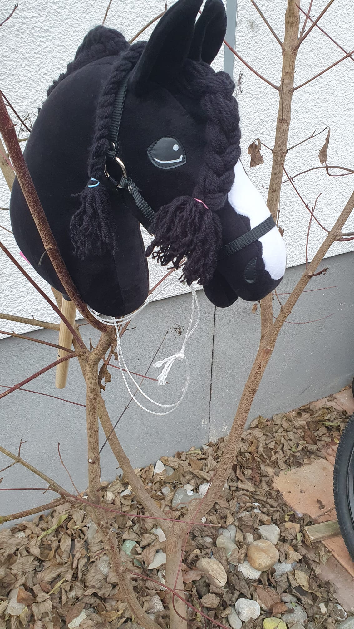 Jugendsport beim TV Erfelden